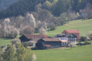 IMG_5689 Bauernhof klein Richtung Atzlern